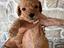Immagine 4
