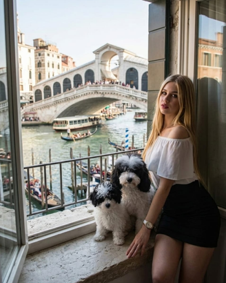 Barboncino Toy altri colori particolor ENCI