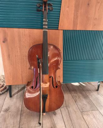 Violoncello1/2