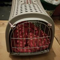 cuccia per cane o gatto