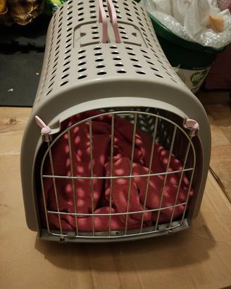 cuccia per cane o gatto