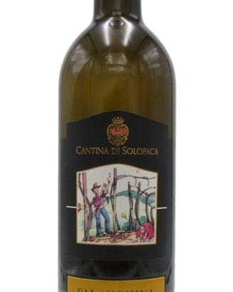 Vino bianco