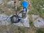 Immagine 6