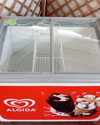 pozzetto isola surgelati congelati frigo gelati