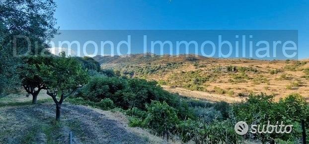 Terreno agricolo 12.000 mq a piedimonte etneo - Altro