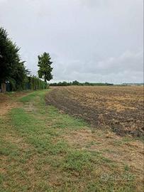 Immobile in asta di 14272 m² a Ostiglia