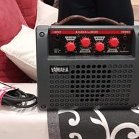 Chitarra acustica amplificata 