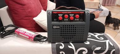 Chitarra acustica amplificata 