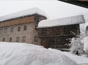 Settimana bianca Ski Area San Pellegrino