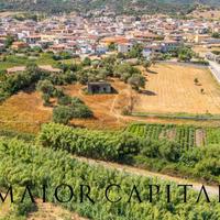 Torpé | Loc. Tiedda | Terreno con fabbricato rura