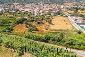 Torpé | Loc. Tiedda | Terreno con fabbricato rura