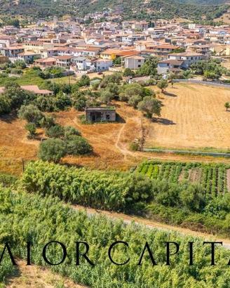 Torpé | Loc. Tiedda | Terreno con fabbricato rura