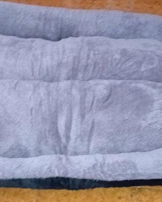 cuccia 