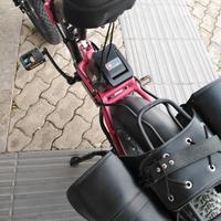 bici elettrica 