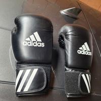 guanti da box + polsiere e dentiera 
