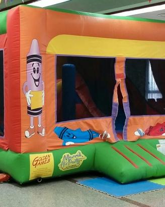 Gioco gonfiabile professionale
