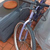 Bici mountain bike usata