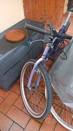 Bici mountain bike usata