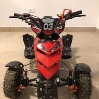 Quad a motore