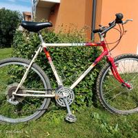 Mountain bike vintage