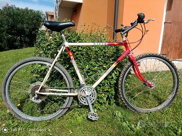 Mountain bike vintage