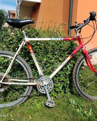 Mountain bike vintage