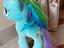 Immagine 3