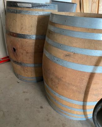 Barriques