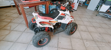 Mini Quad 4 t