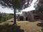 Immagine 13