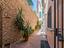 Immagine 19