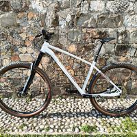 Mtb Rockrider AM100HT - bici