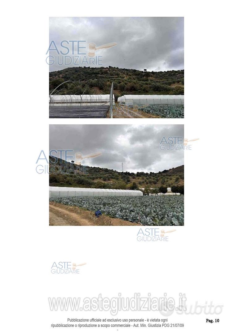 Terreno Agricolo Petrizzi [A4352968] - Vista 3