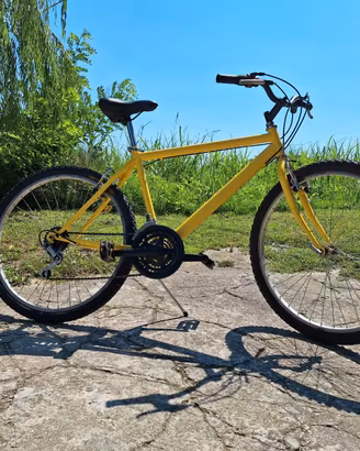 Bici MontainBike Gialla