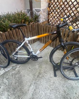 MTB CANNONDALE F900