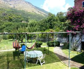 Ampio giardio posizione panoramica - Maratea