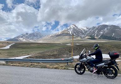 Moto Suzuki V-Strom 650 DL