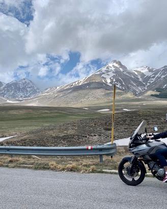 Moto Suzuki V-Strom 650 DL