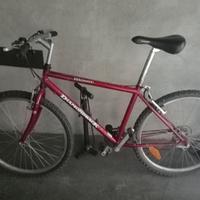 montain bike da 26"