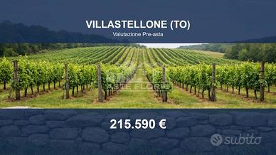 Immobile in asta di 38651 m² a Villastellone