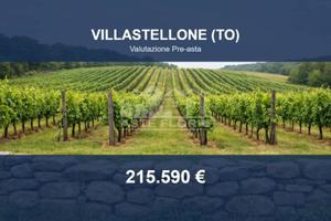 Immobile in asta di 38651 m² a Villastellone