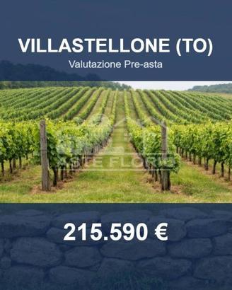 Immobile in asta di 38651 m² a Villastellone
