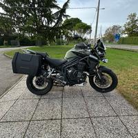 Triumph Tiger 1215 - 2014