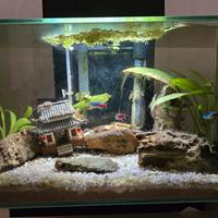 ACQUARIO FLUVIAL EDGE NERO LITRI 23