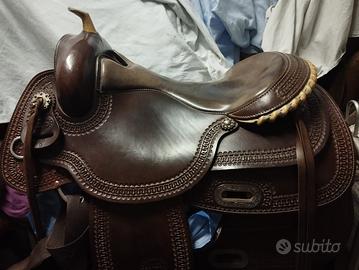 Sella americana pools reining