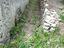 Immagine 13