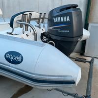 Portacanne inox per gommone