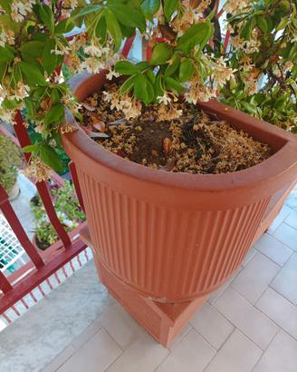 Vaso da giardino