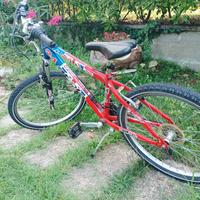 bici bambino taglia 24