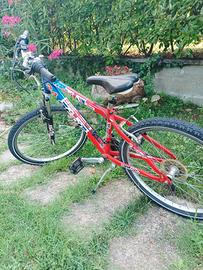 bici bambino taglia 24
